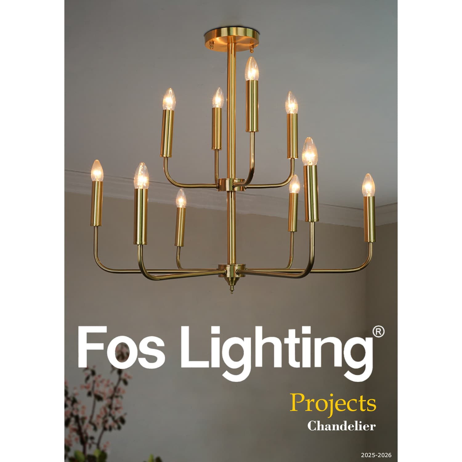 Projects catalogue