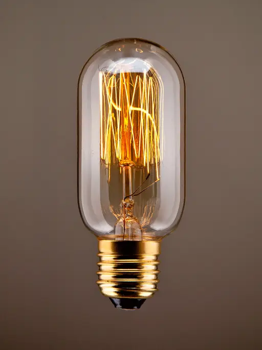 Vintage Tube Squirrel Filament Bulb