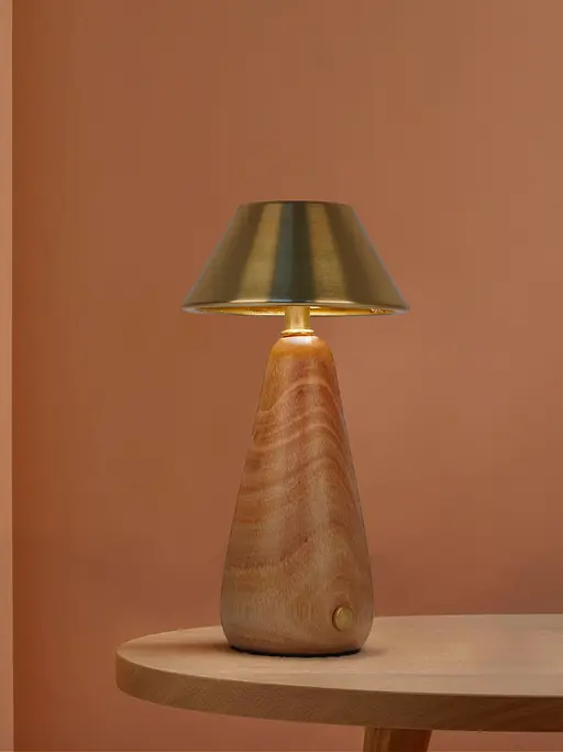 Modern Dimmable Rechargeable LED Table Lamp in Metal & Wood